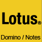 module_domino